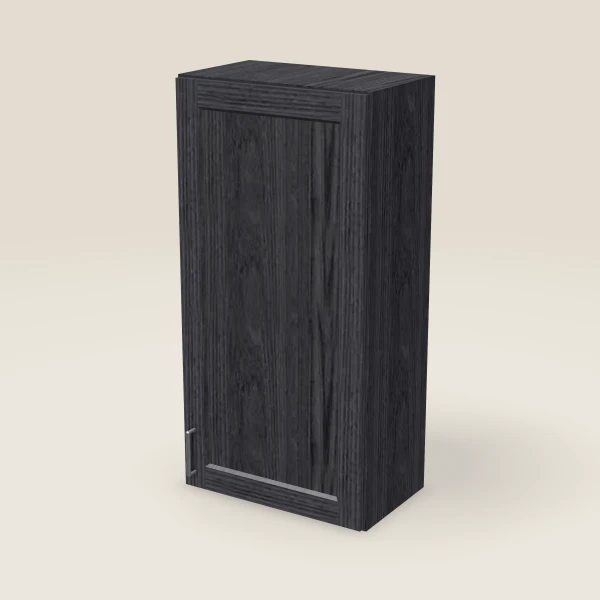 21" Wall Cabinet — 42" High — Blaze Black, 3D picture