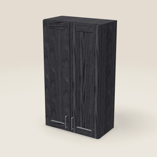 24" Wall Cabinet — 42" High, Double Door — Blaze Black, 3D picture
