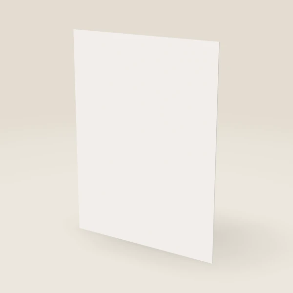 Finished Plywood Back Panel — 48" × 36", ¼" Thick — Ice White, 3D picture