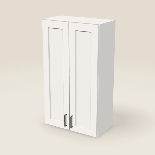 24" Wall Cabinet — 42" High, Double Door — Ice White, 3D picture