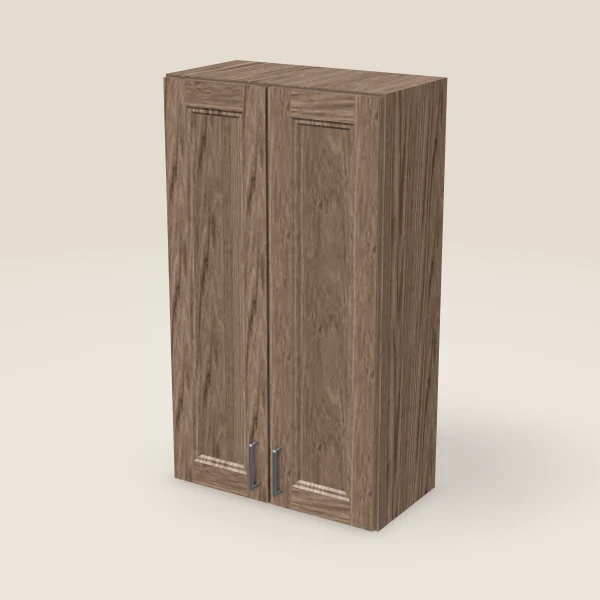 24" Double Door Wall Cabinet — 42" High, 3D picture