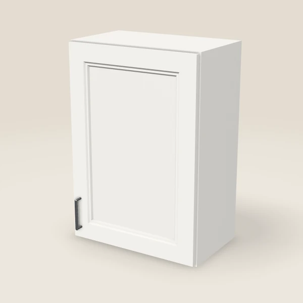 21" Single Door Wall Cabinet, 3D picture