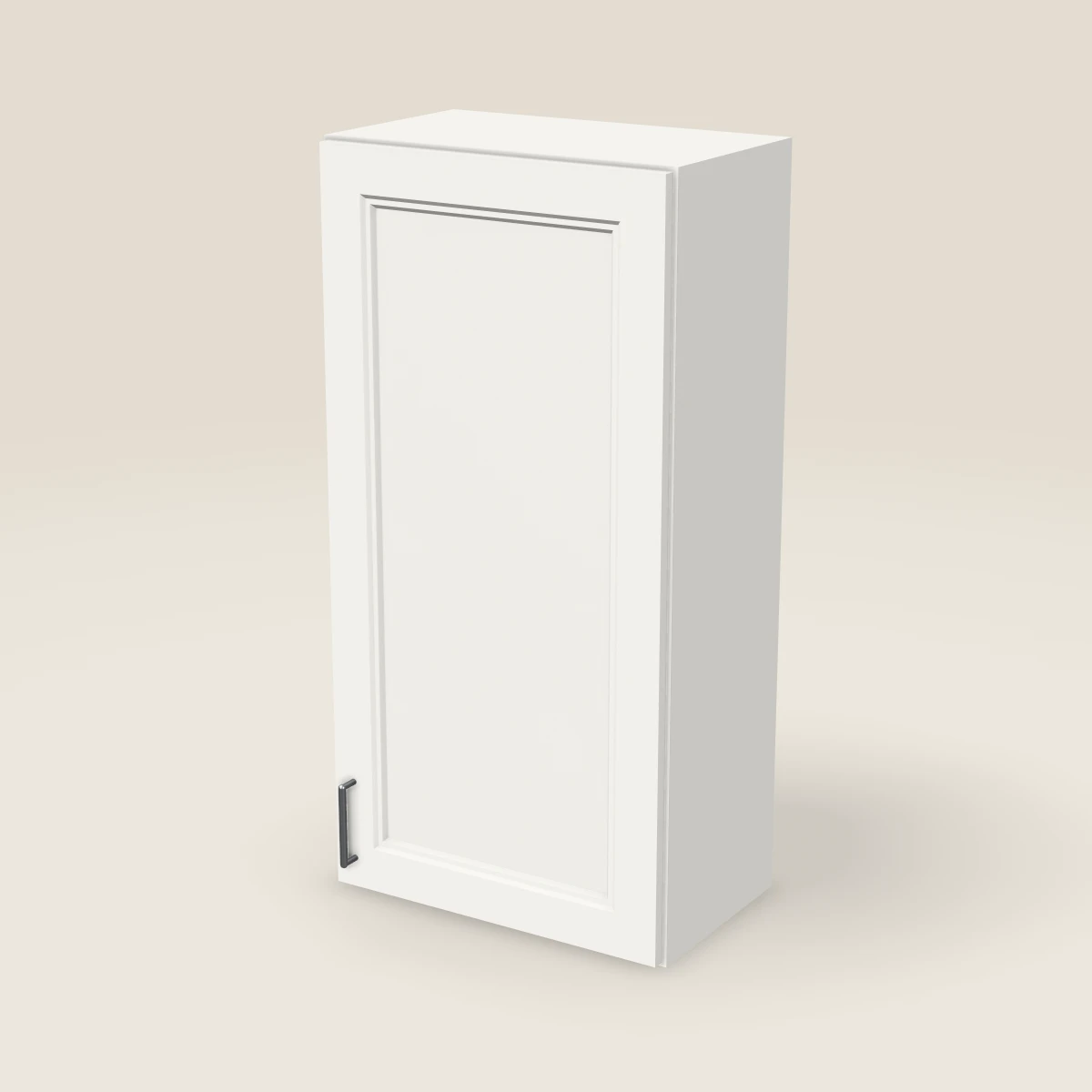 21" Single Door Wall Cabinet — 42" High, 3D picture