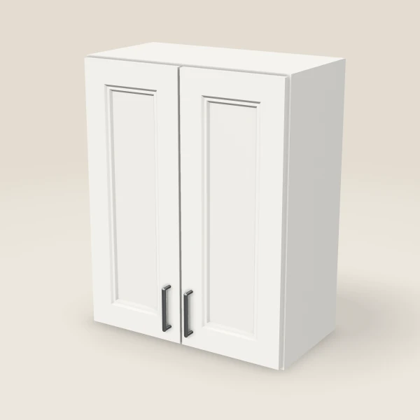 24" Double Door Wall Cabinet, 3D picture