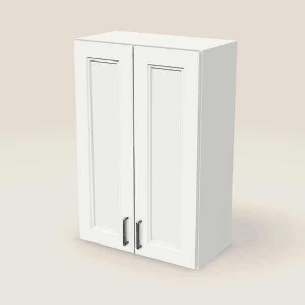 24" Double Door Wall Cabinet, 3D picture