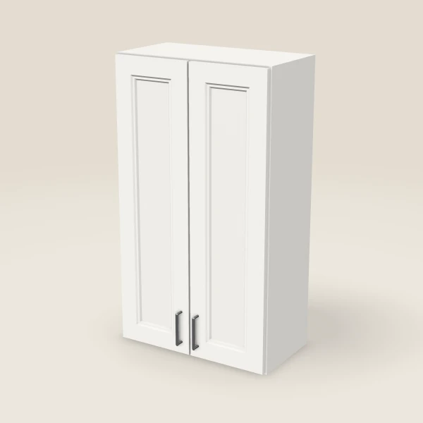 24" Double Door Wall Cabinet, 3D picture