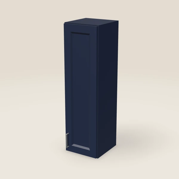 12" Single Door Wall Cabinet — 42" High, 3D picture