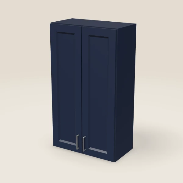 24" Double Door Wall Cabinet — 42" High, 3D picture