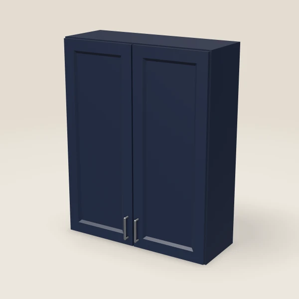 33" Double Door Wall Cabinet — 42" High, 3D picture