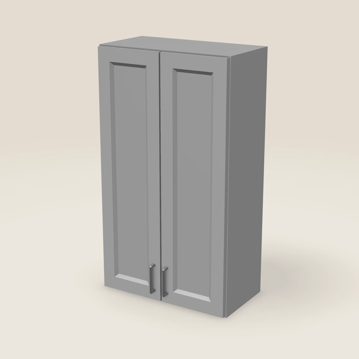 24" Double Door Wall Cabinet — 42" High, 3D picture