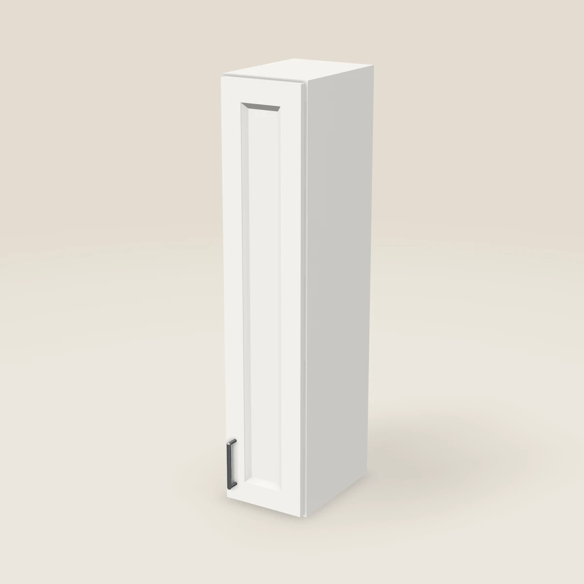 9" Single Door Wall Cabinet — 42" High, 3D picture