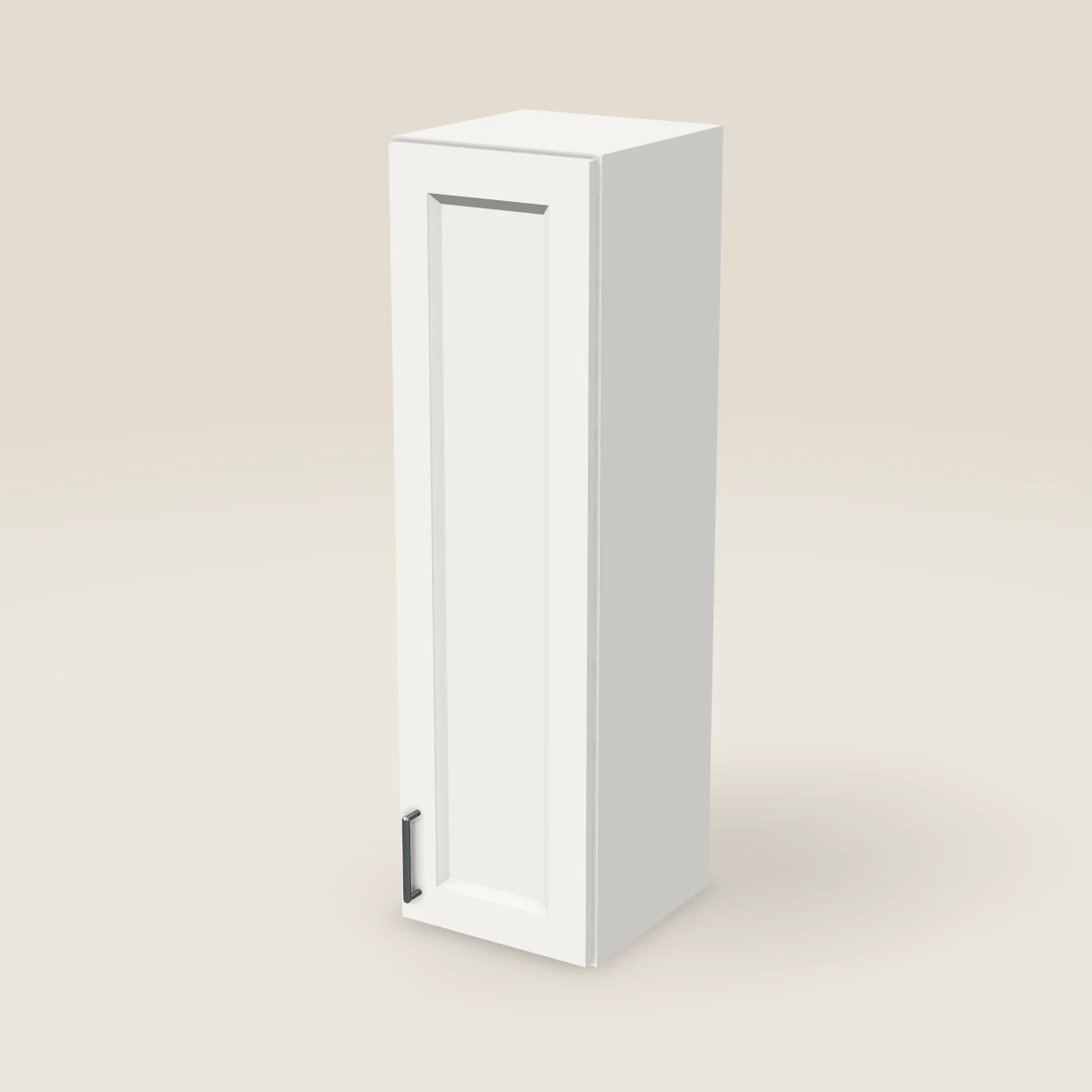 12" Single Door Wall Cabinet — 42" High, 3D picture