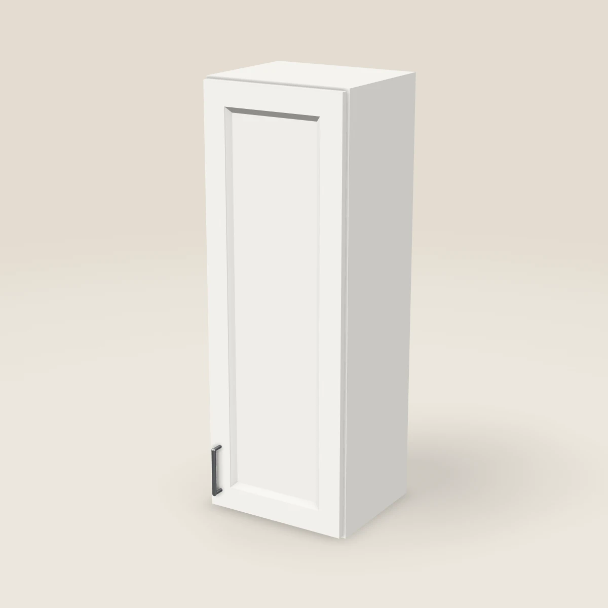 15" Single Door Wall Cabinet — 42" High, 3D picture