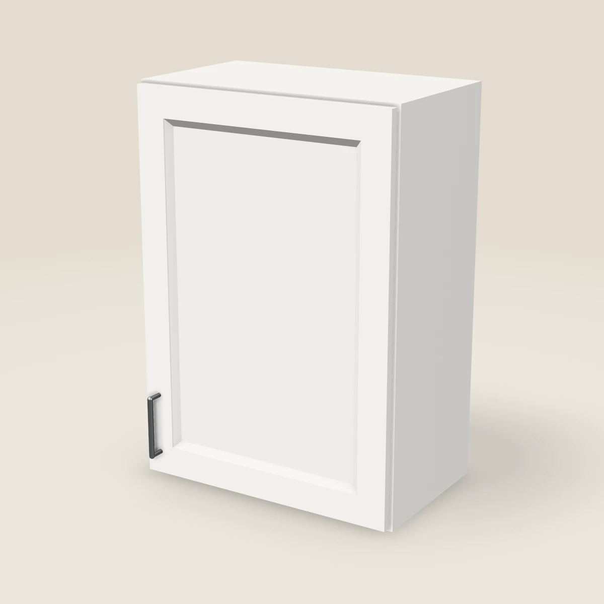 21" Single Door Wall Cabinet — 30" High, 3D picture