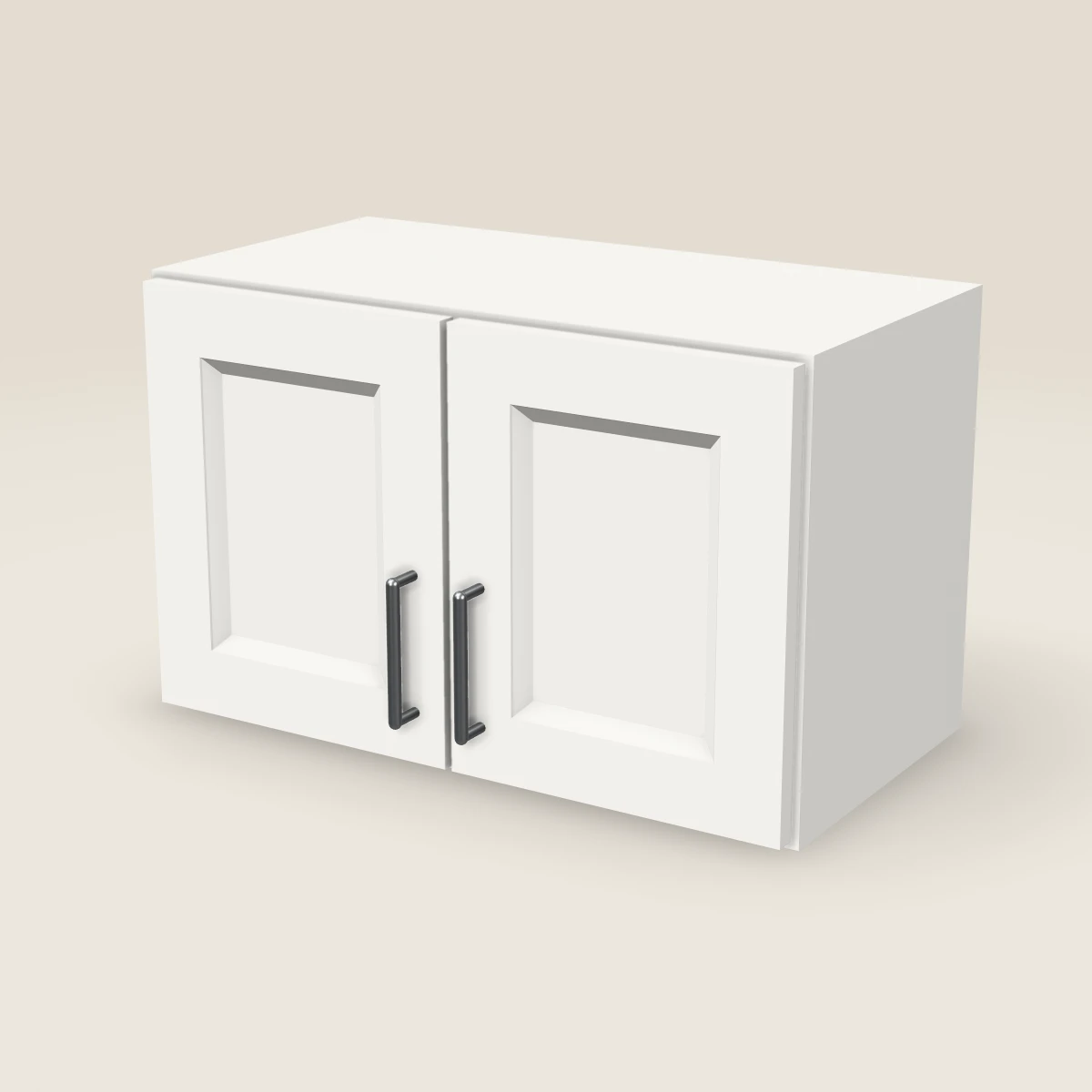 24" Double Door Wall Cabinet — 15" High, 3D picture