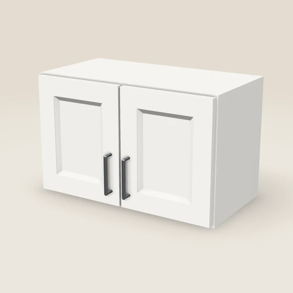 24" Double Door Wall Cabinet, 3D picture