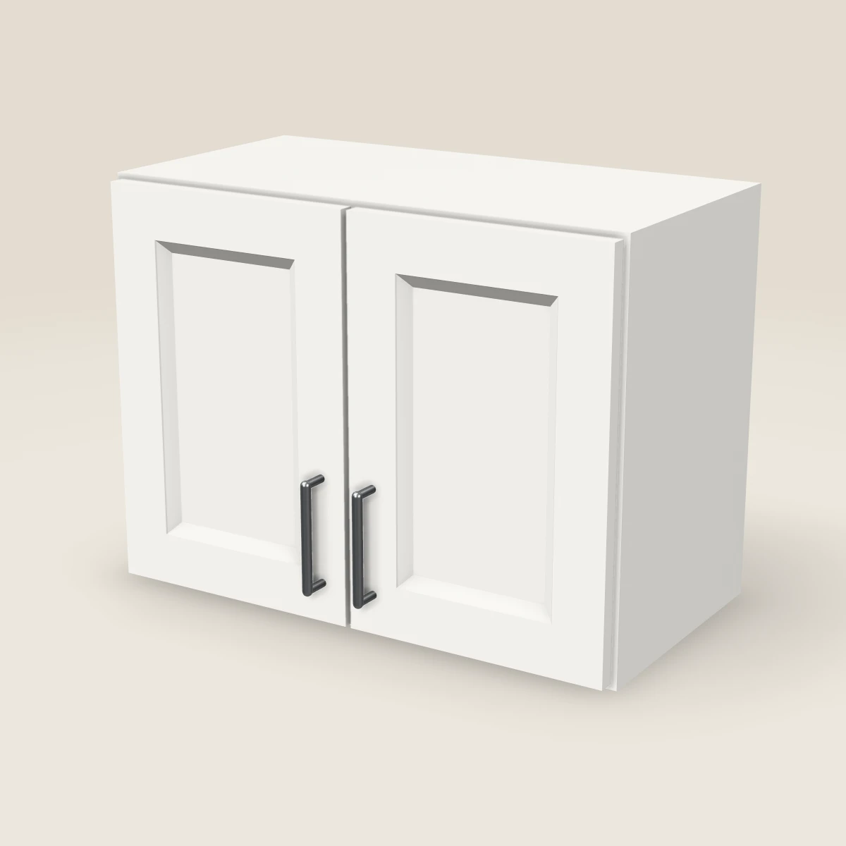 24" Double Door Wall Cabinet — 18" High, 3D picture