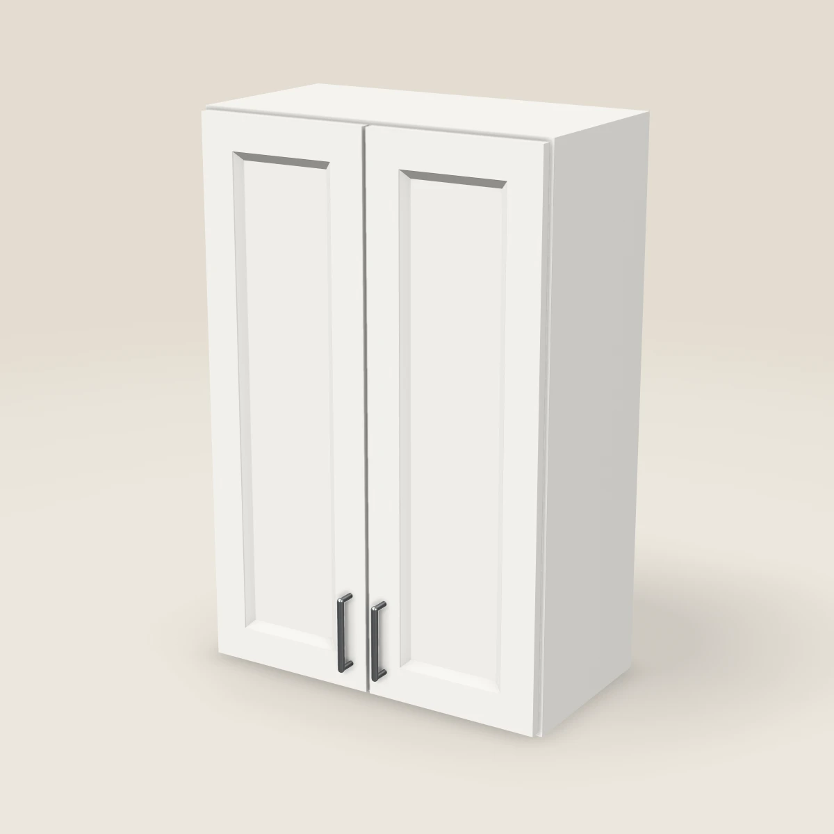 24" Double Door Wall Cabinet — 36" High, 3D picture