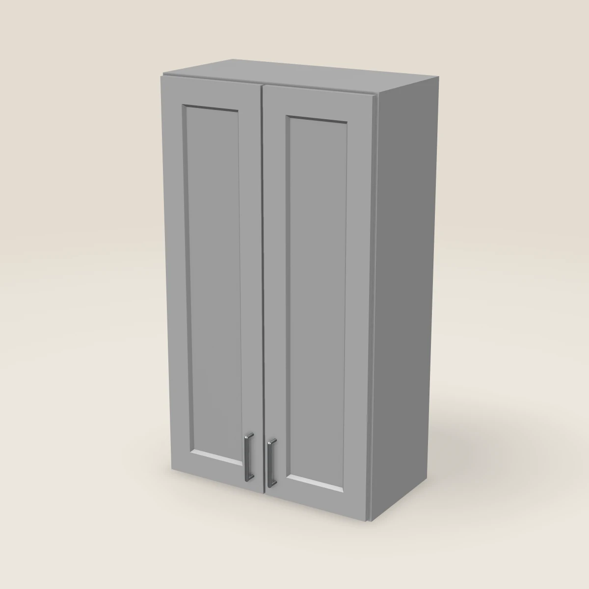 24" Double Door Wall Cabinet — 42" High, 3D picture