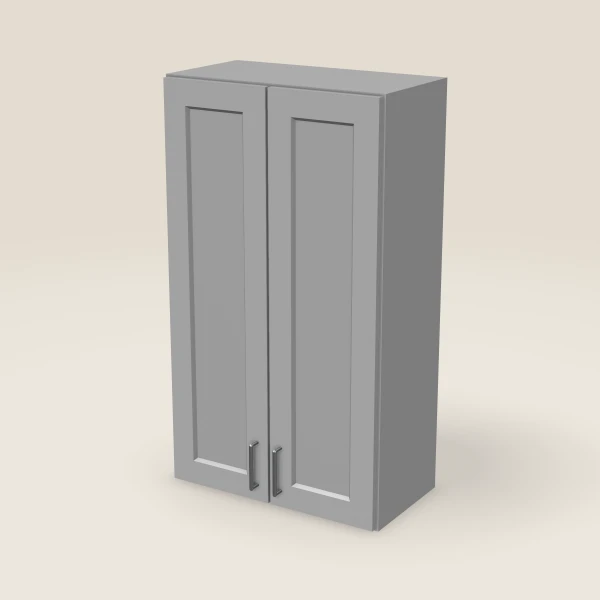24" Double Door Wall Cabinet — 42" High, 3D picture