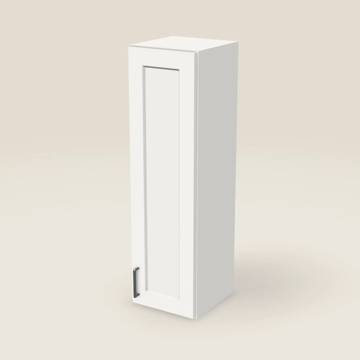 12" Single Door Wall Cabinet — 42" High, 3D picture