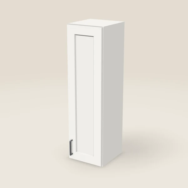 12" Single Door Wall Cabinet — 42" High, 3D picture
