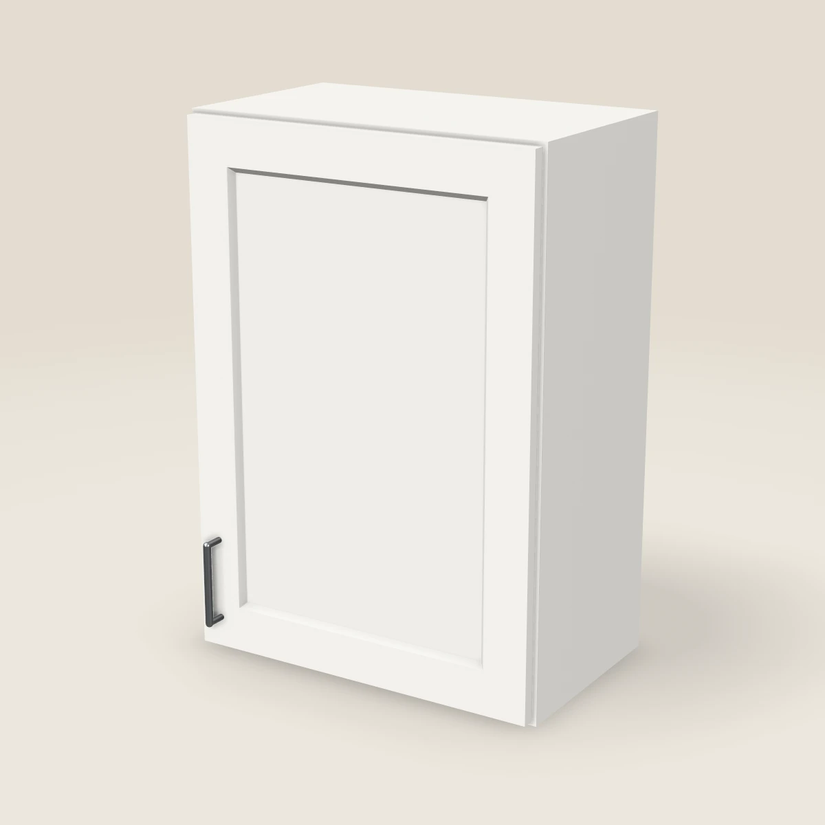 21" Single Door Wall Cabinet — 30" High, 3D picture