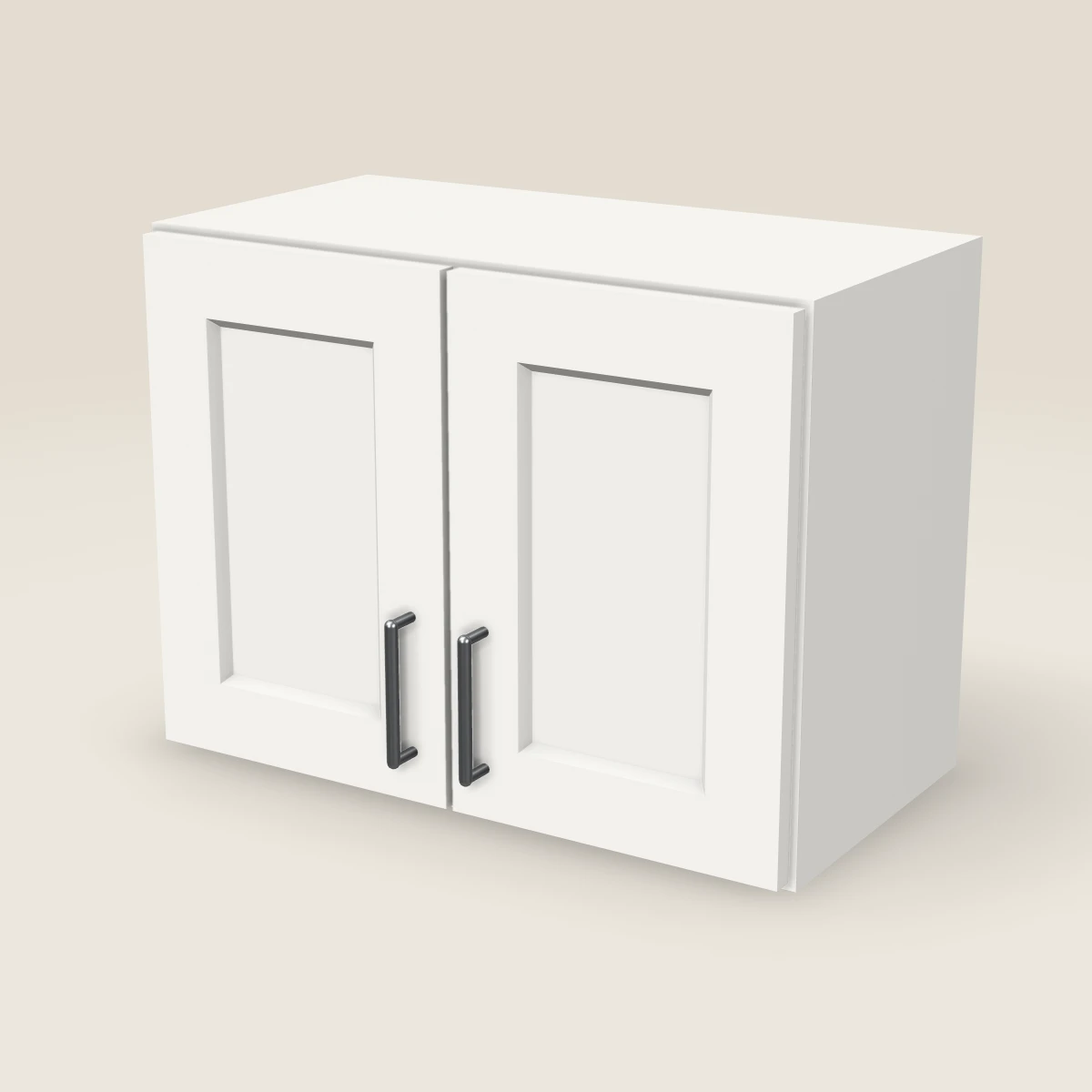 Gabinete de pared de dos puertas de 24" — 18" de alto, imagen en 3D