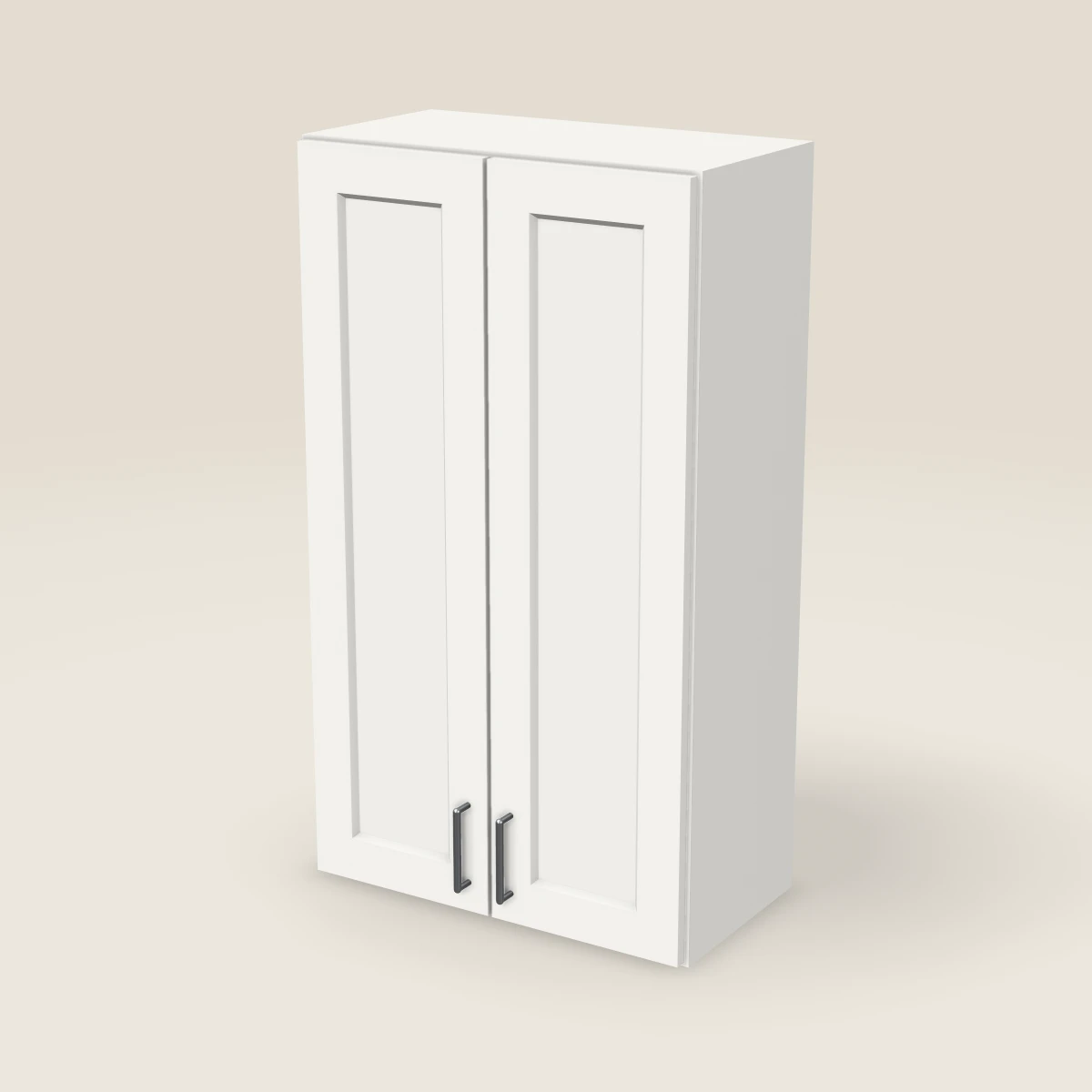 24" Double Door Wall Cabinet — 42" High, 3D picture