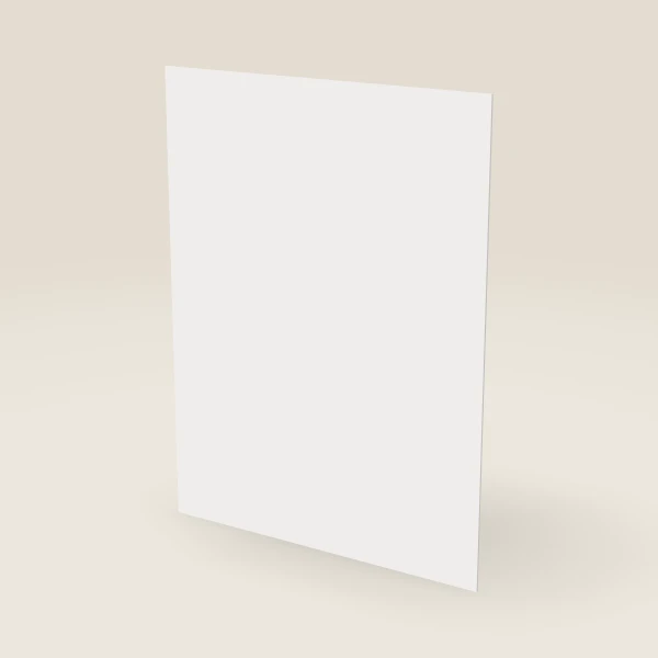 Finished Plywood Back Panel — 48" × 36", ¼" Thick — Petit White, 3D picture